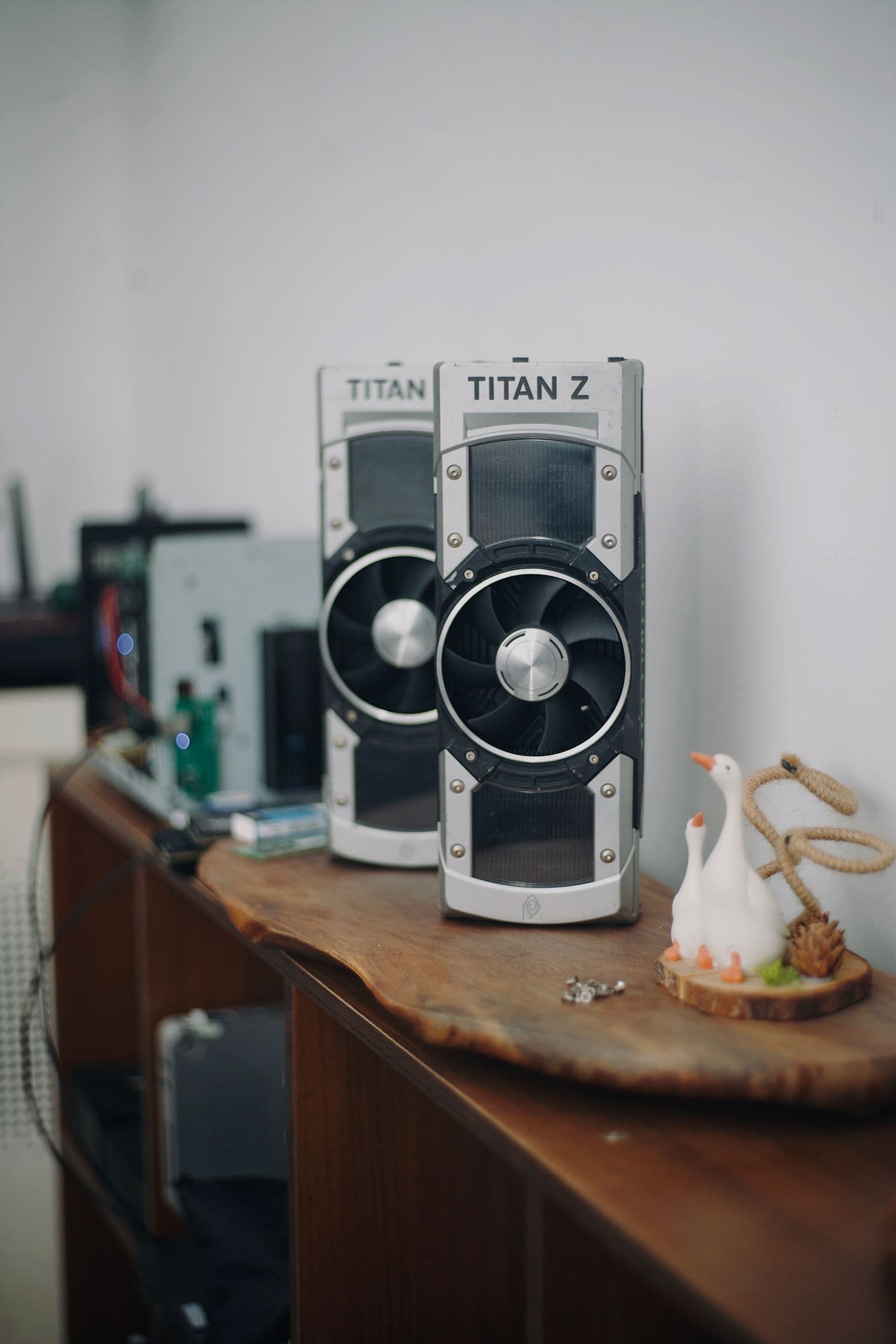 Two graphics cards displayed on a wooden shelf representing the $400 GPU tier where the RTX 5060 Ti 8GB outperforms every other card in its price bracket